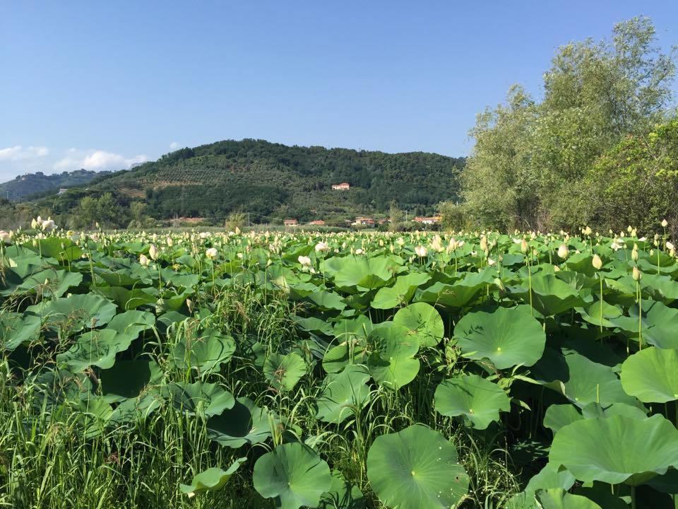 Cecco Di Nara 호텔 마사로라 외부 사진